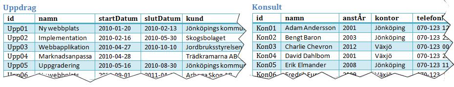 Teoretiskt ramverk Att ingående beskriva hur relationsdatabaser är uppbyggda och fungerar ligger utanför avgränsningarna för denna rapport och det finns gott om litteratur som täcker detta.