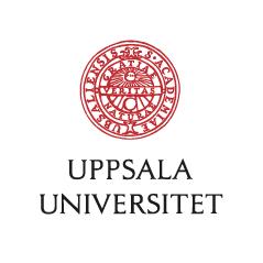 Institutionen för pedagogik, didaktik och utbildningsstudier Självständigt arbete 1 för grundlärare Fk-3, 15 hp Kampen om uppmärksamheten.