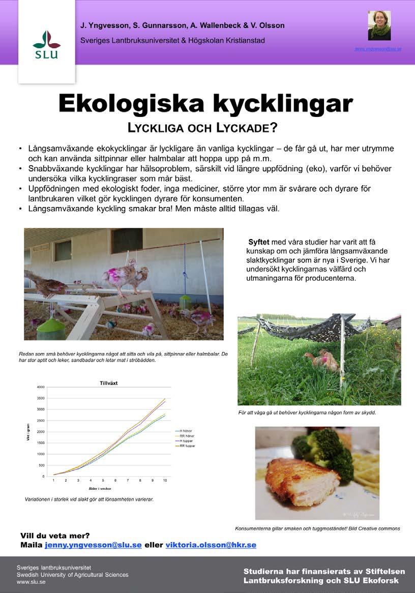 Projektet presenterades under