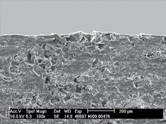 Skikttjocklek Skikttjocklek 6 µm 8 µm 4 µm 17 µm Skala 1:30 Sektion 1:100 Skala 1:30 Sektion 1:100 Skala 1:30 Sektion 1:100 Tvärsnitt noraplan (utan ytbeläggning) Tvärsnitt av PVC med ytbeläggning