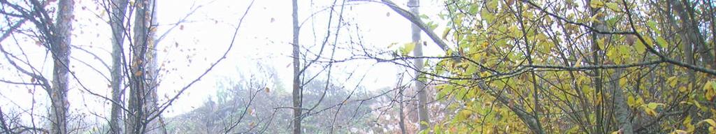 Områdesförhållanden Deponin ligger i ett skogsområde med mestadels tunt jordtäcke bestående av moränlera. I anslutning till deponins västra sida förekommer t.o.m. berg i dagen.