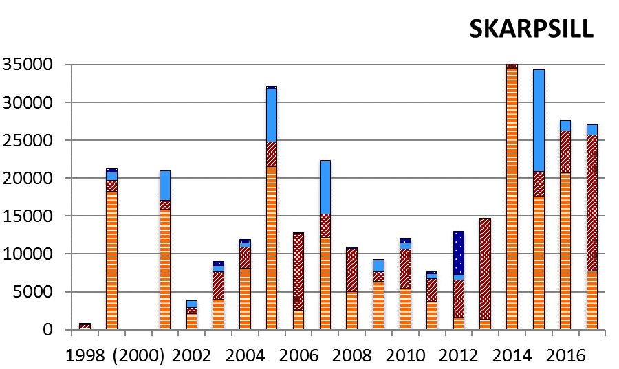 Figur 2c. Fångst av 0, 1 och 2+-grupp sill, skarpsill och makrill i antal per timme IBTS kvartal 3, åren 1998-2017.