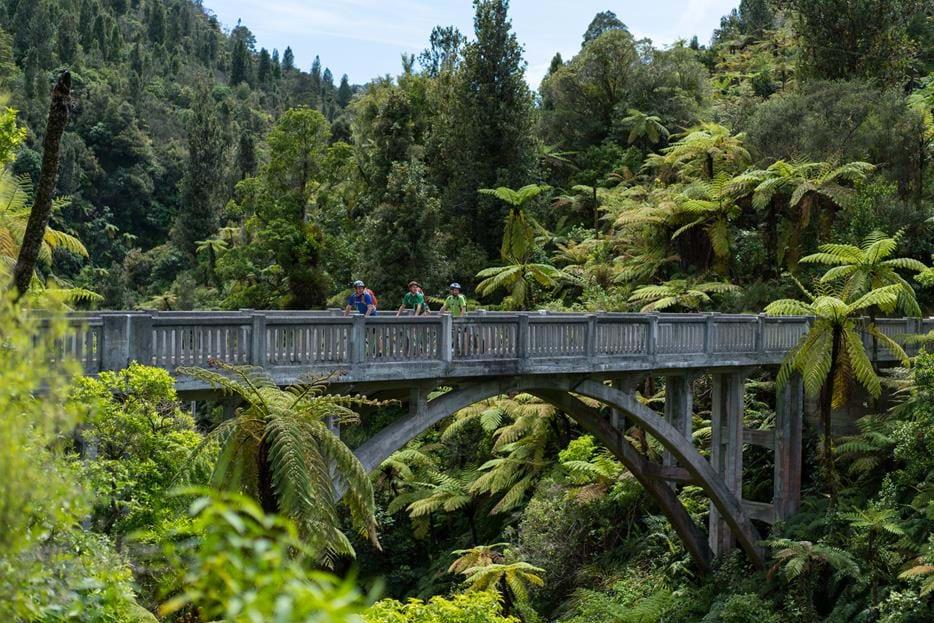 Dag 7 Bridge to Nowhere, Wellington Idag ska vi byta miljö. På morgonen lämnar vi vulkanlandskapet bakom oss och åker till Whanganui Nationalpark som ligger en timmes bilfärd bort.