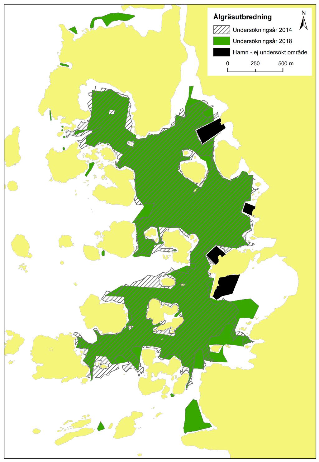 Figur 5. Karta över ålgräsängens utbredningsområde i Stora Amundö och Billdals skärgård. Streckat fält visar utbredningsområdet år 2014 och grönt fält anger utbredning 2018. 4.