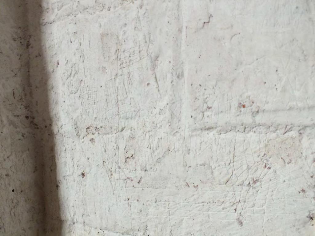 Båda fotografierna på denna sida visar samma ristning, denna på