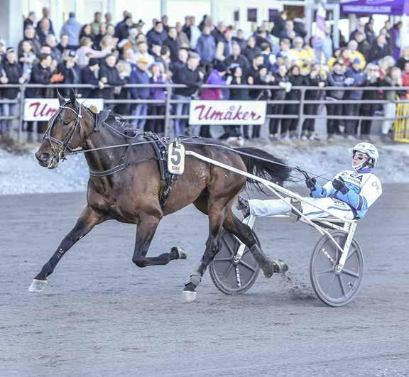 Bankod: 7 Nr 09 09 Pris: 0 kr banprogram VÄLKOMMEN TILL 7 9 09 MÖJLIGHETERNAS ARENA OBS! FÖRSTA START IDAG KL.