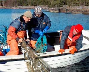 across different biotopes to determine fish