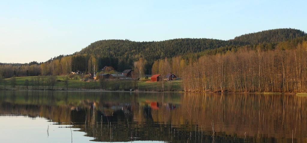 EK OCH LÖVSKOG I VÄRMLAND Värmland är ett skogslän. Av den totala markarealen på 1,75 miljoner hektar är 1,46 miljoner skogsmark och 1,33 miljoner hektar produktiv skogsmark.