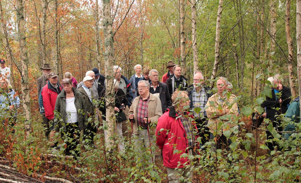 "Slyskogen" på Ruda visade sig innehålla många utvecklingsbara lövträd, och inte bara björk som på bilden. år tillbaks är det Kicki som står som ägare.