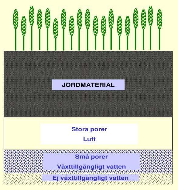 Dräneringsdjupet påverkar upptorkningen Dräneringsdjupet påverkar upptorkningen.