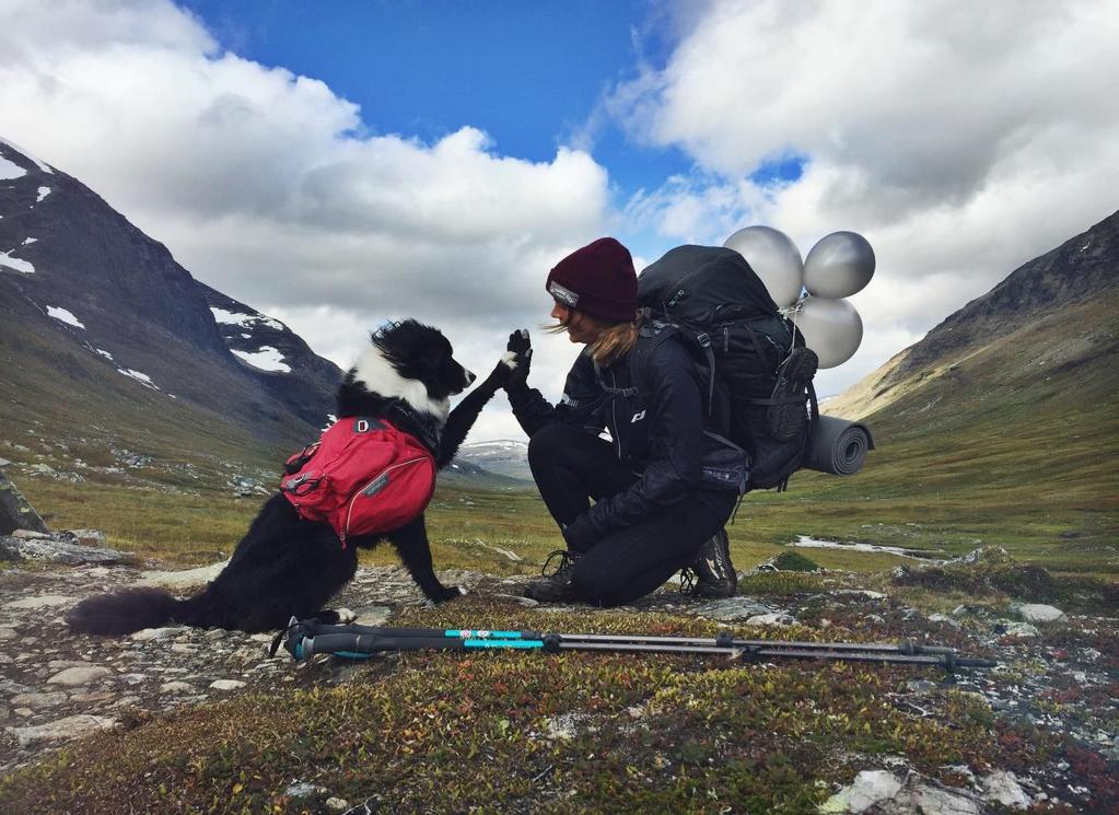 VITAGRÖNABANDET 10 ÅRSJUBILEUM I GRÖVELSJÖN Fjällfararnas Vita & Gröna Band firar 10-års-jubileum!