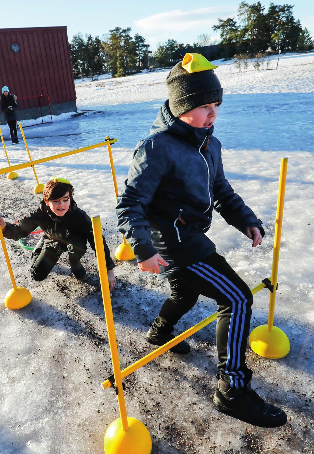 Så kan vi stödja skolan Erbjuda verktyg för att skapa en handlingsplan Vara ett processtöd för skolans rörelseteam Utbilda i