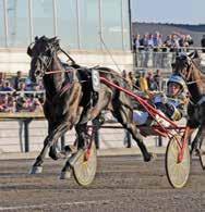 ÅBYTRAVET Mikko Aho -9 Roger Z Andersson - Robert Bergh -8 98 André Eklundh -8 8 9 Olle Elfstrnd - 98 Bo Flsig -8 Olle Goop - Veijo Heisknen - 9 Bengt Holm - Äger du Åbys snbbst häst?