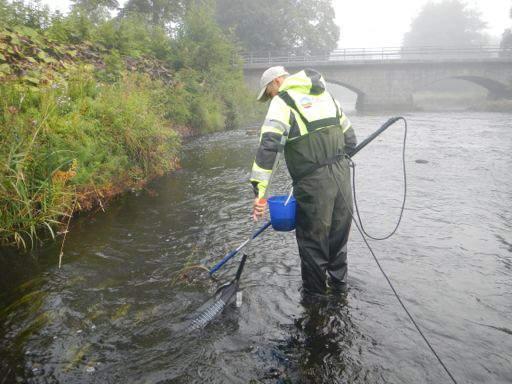 Vattendrags/lokalnamn:0Mörrumsån,0Åkeholm,0Stenbron0211 Bilaga&8 Mörrumsån&2013 Datum:02013?09?04 Bild: Vid&fiskecllfället&var&vadenföringen&låg&cll&mycket&låg.