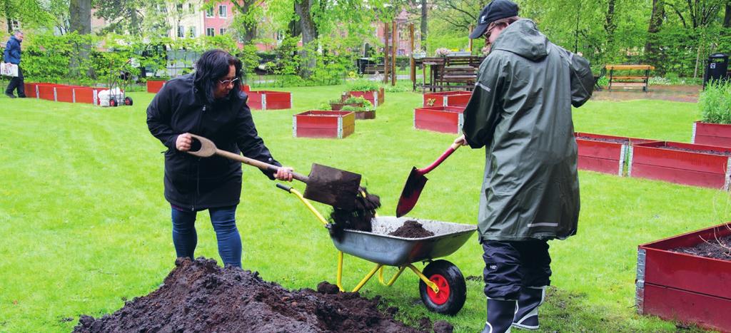 När odling ger näring Regn och rusk. Vilket väder för plantering. Det är bra väder för växtligheten, säger Lasse Bengtsson samtidigt som han lägger tidningar i botten på pallkragarna.