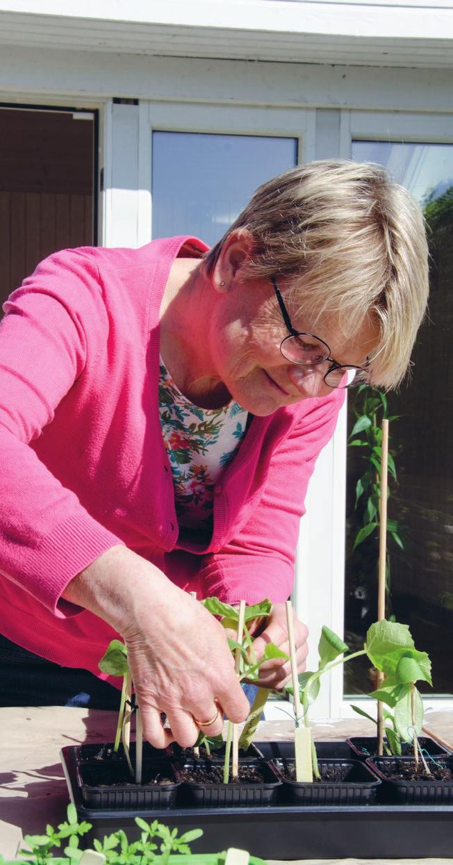 Tar bort stress Det är otroligt stor avkoppling för mig att odla. Att få fokusera på att rensa eller plantera.