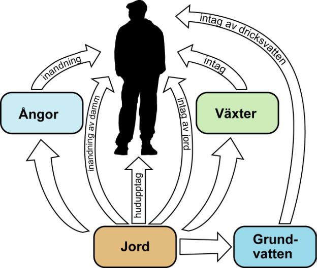 Riktvärden för förorenad mark Vad ska de skydda?