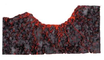 Figure 6-5. Superposition of high porosity zones (red) on a photoimage of a half-barrel of a blast hole taken from the walls of the Zedex-tunnel in a section perpendicular to the blast hole.