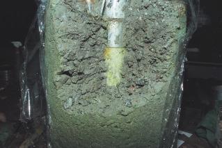 The DPP has been installed fifteen months in the cell. Figures 6-60 and 6-61 show the DPP into the cell and the backfill after the DPP extraction.