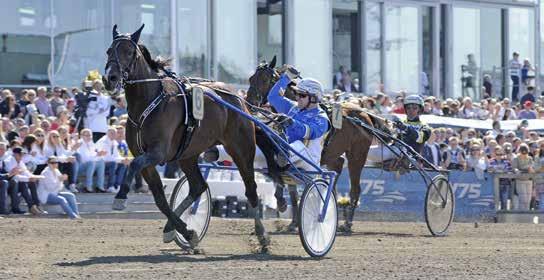 LEDARE VÄLKOMMEN TILL DAGENS V TÄVLINGAR VÄLKOMMEN TILL BYTRAVET BY Telefon - Webb www.abytravet.