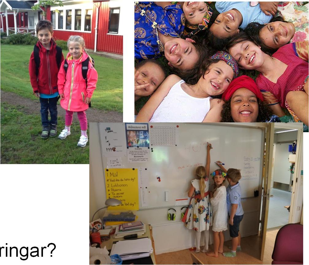 Övergångskompetenser? Är det: Förmåga att hantera förändringar? Att kunna tillvarata möjligheter av förändringar?