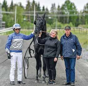 uppmärksammar Dante Godiva som blev månadens häst i juni.