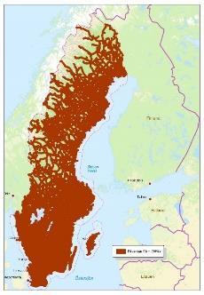 Areal som påverkas av infrastruktur och innebär avsevärd minskning av antal fåglar (29 % as Sveriges yta).