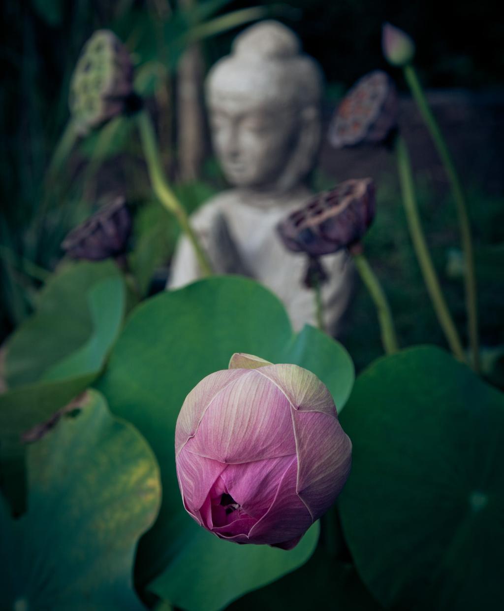 BETALNINGSVILLKOR & PRAKTISK INFORMATION DET HÄR INGÅR Två pass per dag (morgon: hållningsträning/styrka/ kondition, eftermiddag yoga/meditation/återhämtning), totalt 17 pass.