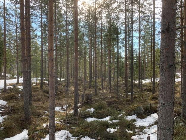 Belägenhet Fastigheten omfattar ett obebyggt skogsmarksskifte efter Garbergsvägen, ca 12 km söder om Gesunda. Skiftet nås även via Lisslarsvägen.