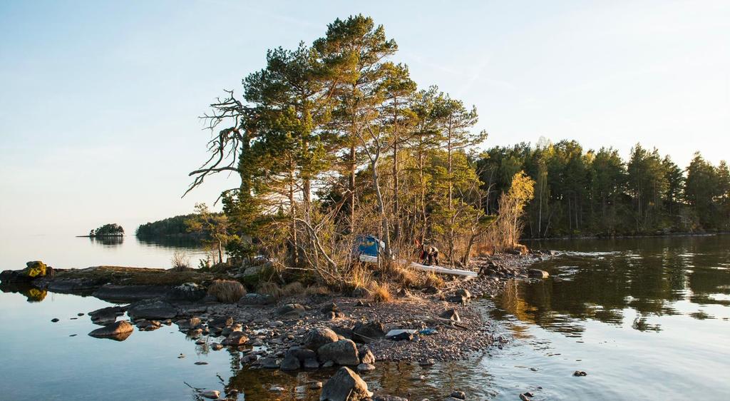 UTVECKLINGSOMRÅDEN 2019 1. Publicera äventyr på friluftsframjandet.se fokus på utveckling, utbildning och ökat användande 2.