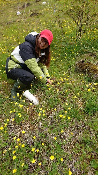 Inväxningspåsar för att mäta biomassan och nekromassan av mykorrhizasvampar i marken Mängd kol (g per m -2 )