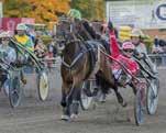 (Sverige) Guardian Angel Ås (USA) Lionel (Norge) Marion Marauder (Kanada) Norton ommander