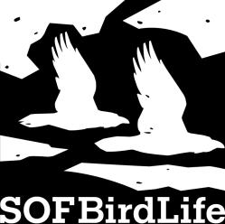 i Skorvdalen (Örndalen) Härjedalens kommun. Sveriges Ornitologiska Förening BirdLife Sverige (fortsättningsvis SOF) har beretts möjlighet att slutföra talan i målet M 2630-14.