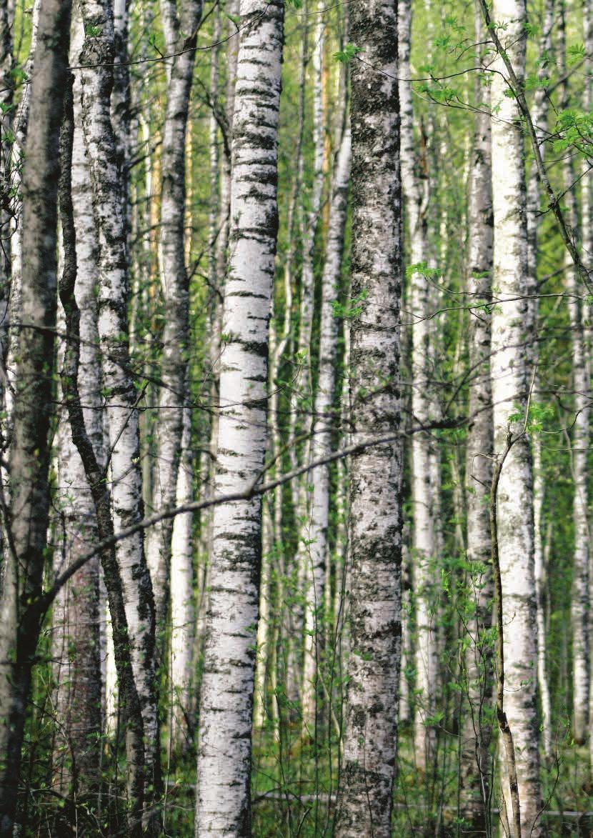 Ekonomisk och naturlig värmekälla Tiilirakennes kakelugn med metallhölje är CEmärkt.