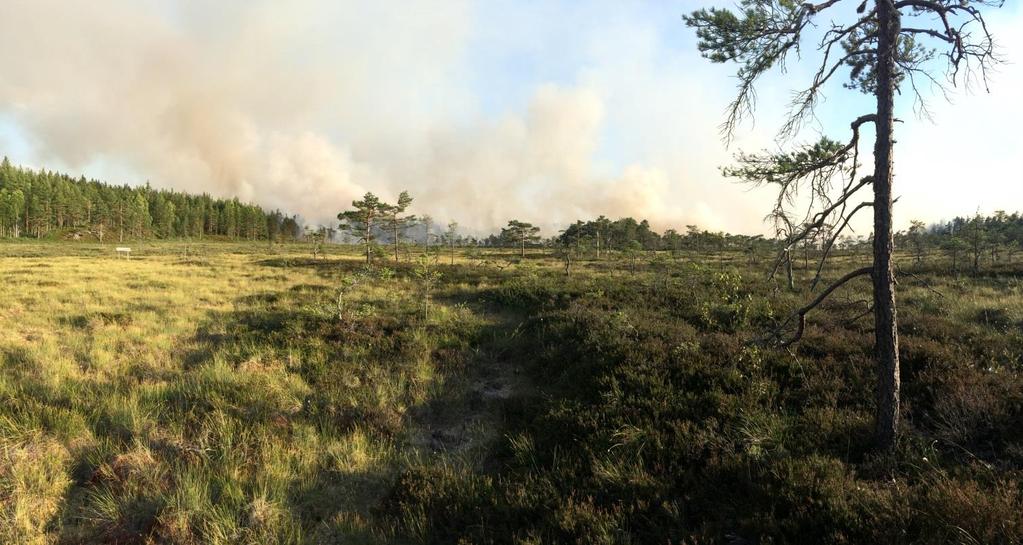 kommun Händelsetyp: Brand i skog eller mark Avslutande av