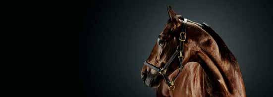 INETIAL :, AK *, L, AL Total:.,mr.v.e Yorktown Gunner :,a. :,a. Digital Picture e Super Photo Kosmos örg Sjunnesson / /,a c, ' Uppf: Stefan T.Z.