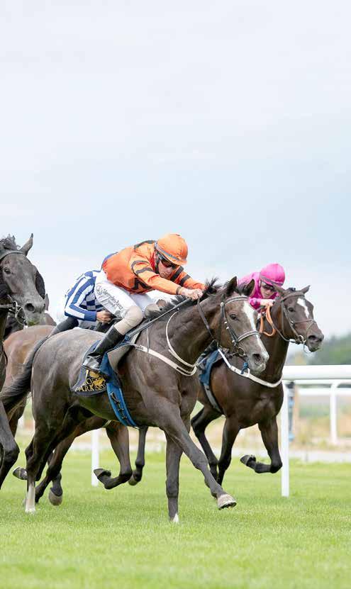 Därmed slår du vad med totala insatsen andra om vem som vinner loppet. Ju fler som ram g. genom att ta ar du valt som har spelat på vinnaren, ger de fabienne hästar du de desto Geer lägre (59) odds.