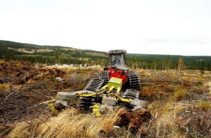 Vanliga vegetationstyper: Fattigris, lingon, blåbär och smalbladigt gräs.