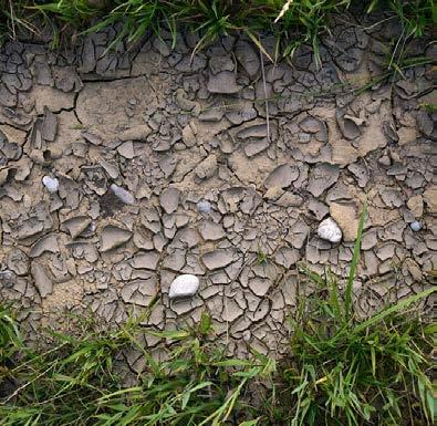 15. HET ARKEOLOGI Förra sommarens långvariga torka i norra Europa slog hårt mot många bönder då skörden torkade.