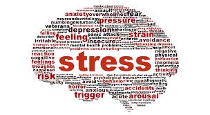 Stressreaktioner Mål Omedelbar och snabb reaktion Biologiskt