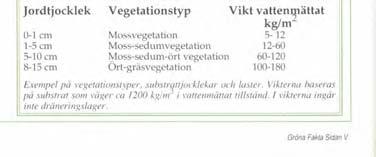 Detalj från alvaret - som lika gärna kunde ha hämtats från ett tak.