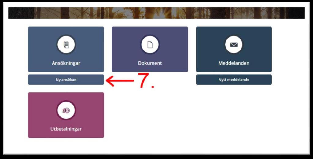På startsidan i e-tjänsten klickar du på Ny ansökan.