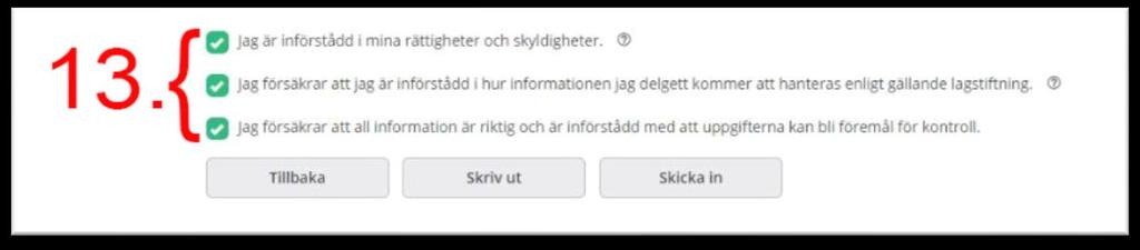 Du kan se vilka fält du behöver komplettera för att komma vidare. När du fyllt i allting klickar du på Nästa. Då ser du en sammanfattning av hela din ansökan.