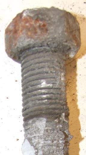 bergbultar