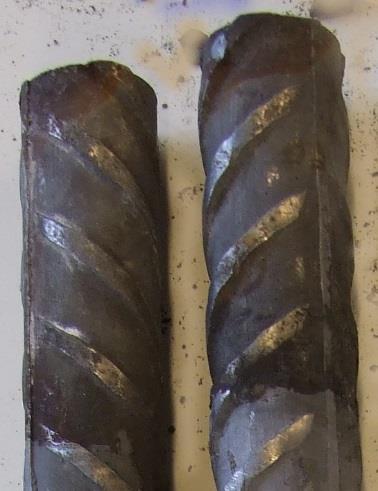 Muskötunneln.