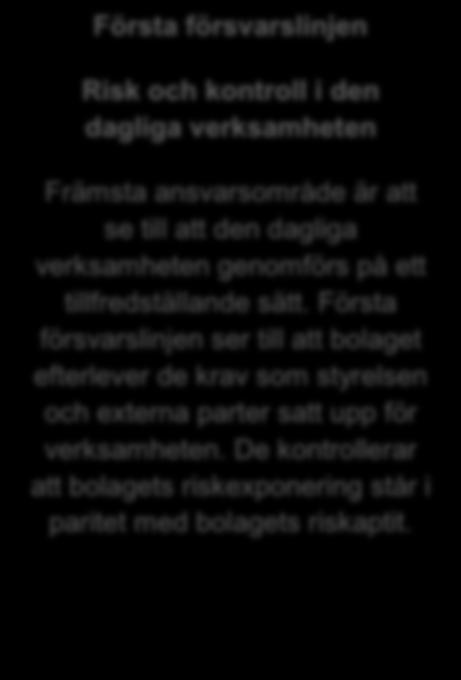 Styrelsen utser VD, ansvarig för Bolagets riskkontrollfunktion, regelefterlevnadsfunktionen samt internrevision.