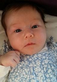 OK Milan önskar välkommen till The New Generation Den 19/1 kom vår Olivia. Hon vägde 3895 g och var 50 cm lång. Erik är en mycket stolt storebror. Vi ses på tävlingarna under våren!
