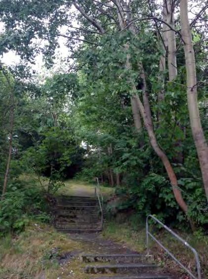 Naturmiljön nås från bosadsgårdar genom trappor och gångstig.