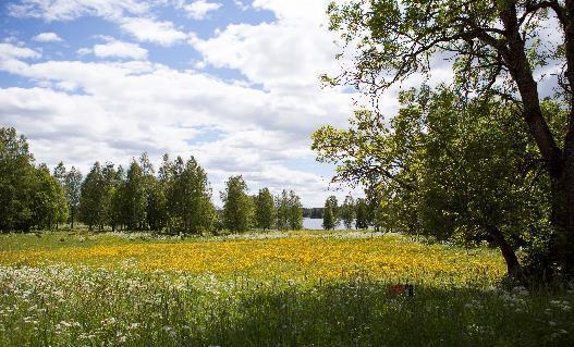 Vårt uppdrag Foto: Jonàs Oliva Oberoende