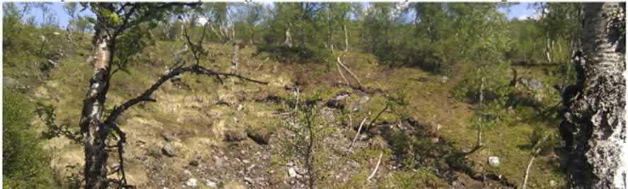 Figur 6. Spår av ras ner mot biflödet till Tvärbäcken (norra kanten). Inom området för detaljplanen finns två identifierade skredärr.